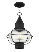  26906-04 - 1 Light Black Outdoor Chain Lantern