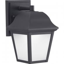  P560136-031-30 - One-Light LED Small Wall Lantern