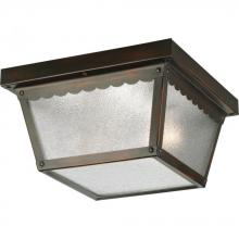  P5729-20 - Two-Light 9-1/4" Flush Mount for Indoor/Outdoor use