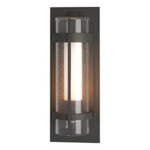 Hubbardton Forge 305898-SKT-20-ZS0656 - Torch Large Outdoor Sconce